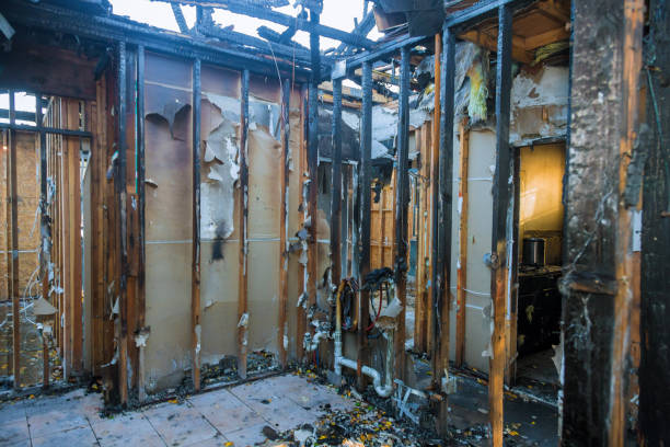 Professional Soot Cleanup technician working in Phoenix Lake, CA